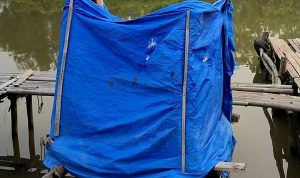 IMG_20251021_182815