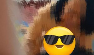 InShot_20260927_210704656